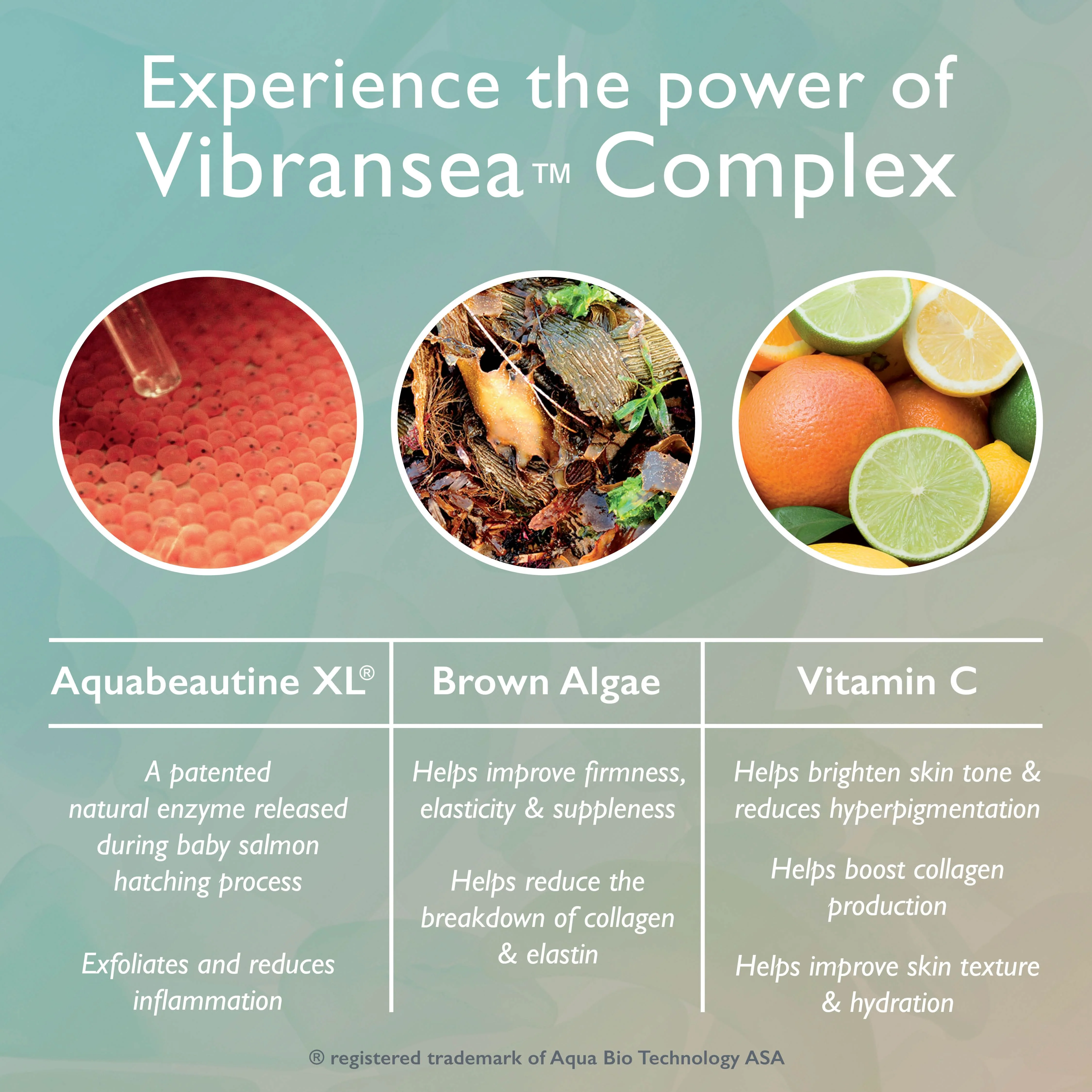 Restorsea Rejuvenating Day Cream with Vibransea Complex - Image 4